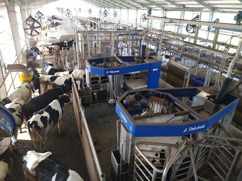 Cuenta regresiva para TodoLactea 2024: El Tour lechero será la gran atracción sobre el cierre