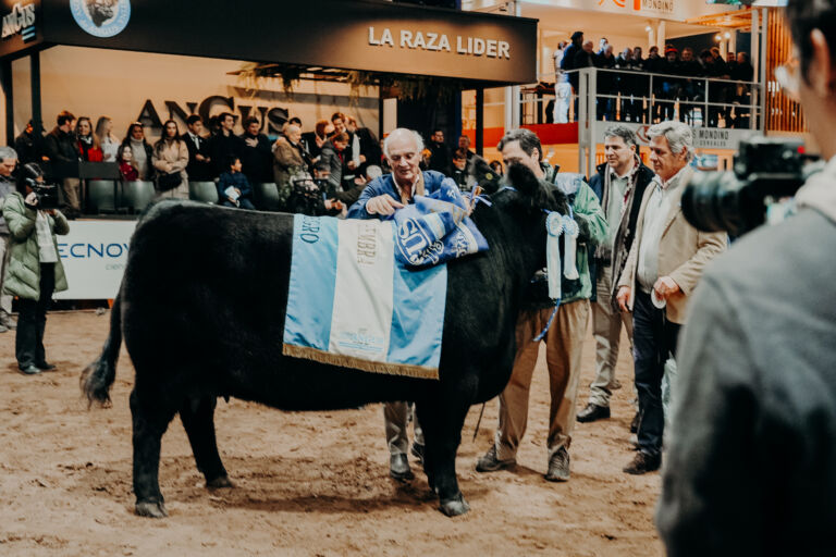 La 81ª Expo Angus de Otoño volvió a mostrar con contundencia el crecimiento de la raza