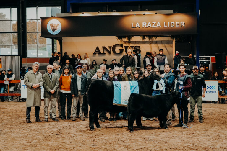 Expo Angus de Otoño premió la genética con la elección de Campeonas Negras y Coloradas en la pista Indoor