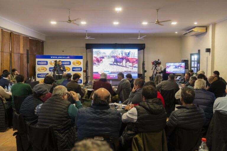 Gran oferta de hacienda de calidad en las Nacionales Santander de Corrientes