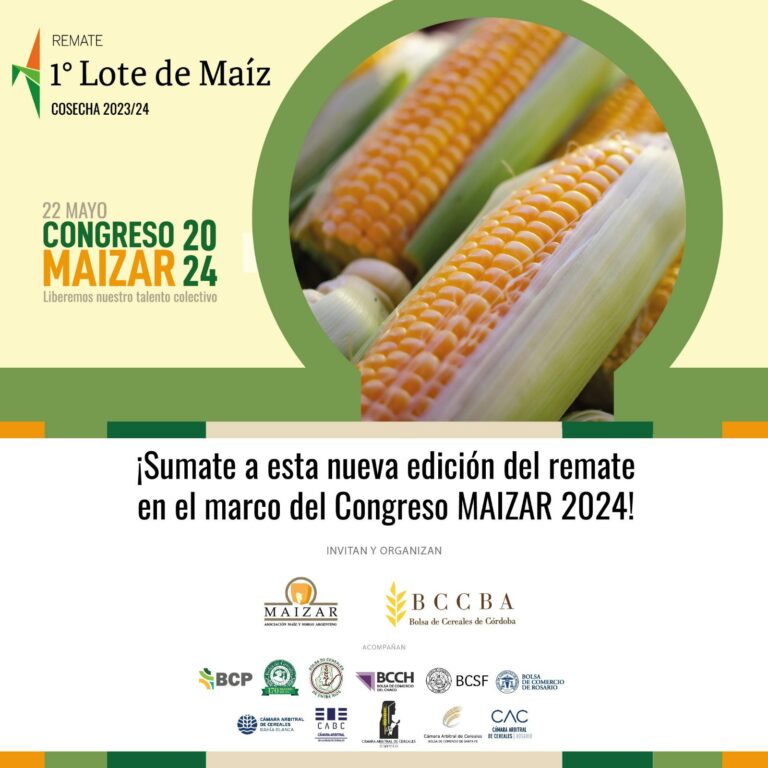 MAIZAR y Bolsa de Cereales de Córdoba anuncian el Remate de Primer Lote de Maíz cosechado