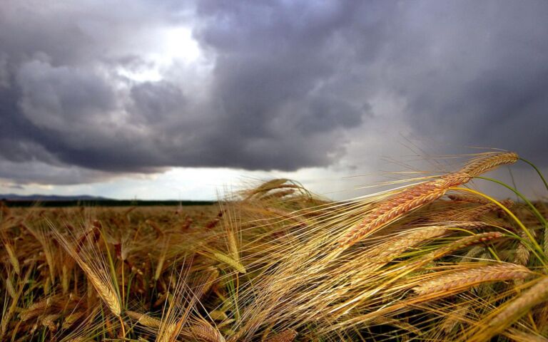 SMN: Anticipan condiciones más cálidas y pocas lluvias para el trimestre Invierno-Primavera