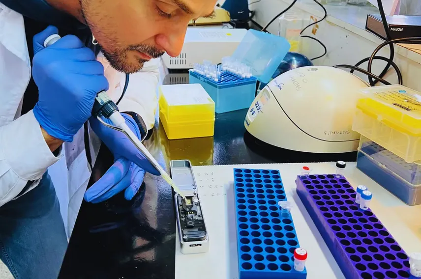 El INTA logró secuenciar el genoma de la chicharrita del maíz