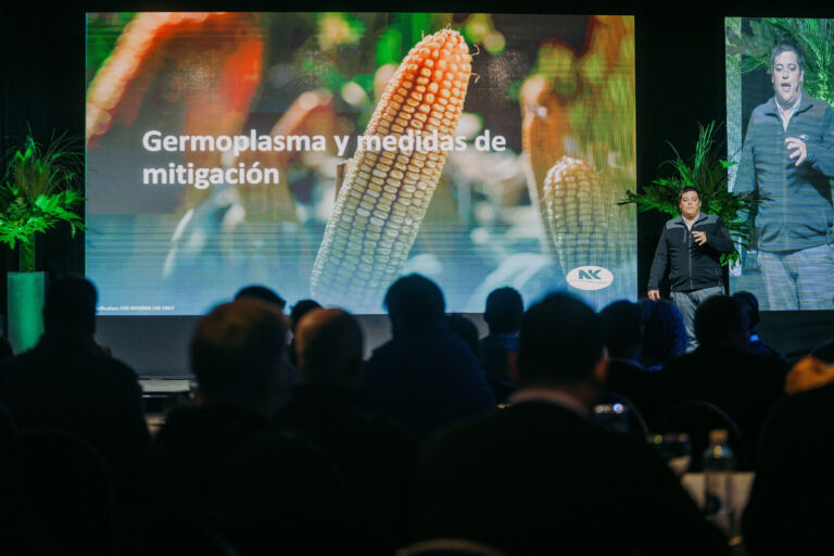 NK amplía su porfolio con nuevos materiales adaptados y más servicios digitales 