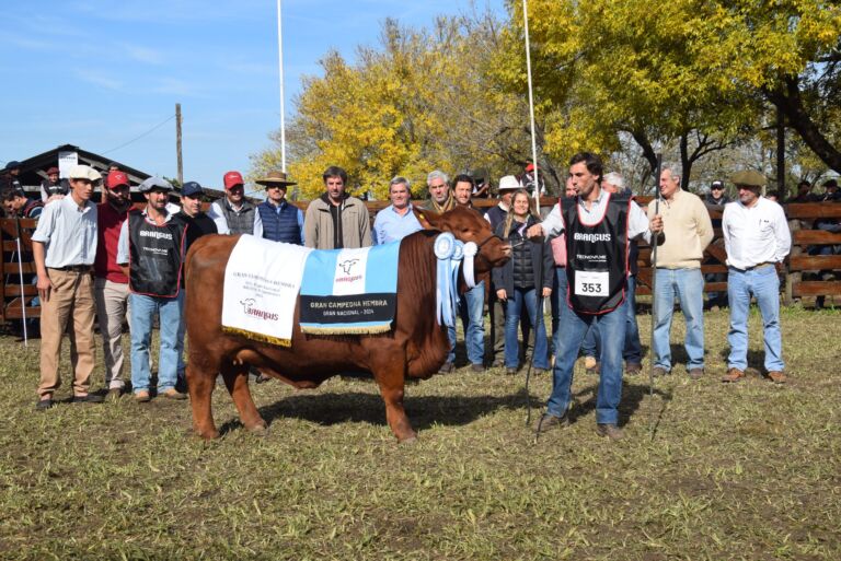 Las Nacionales de Corrientes cerraron con un excelente nivel de Brangus en la pista