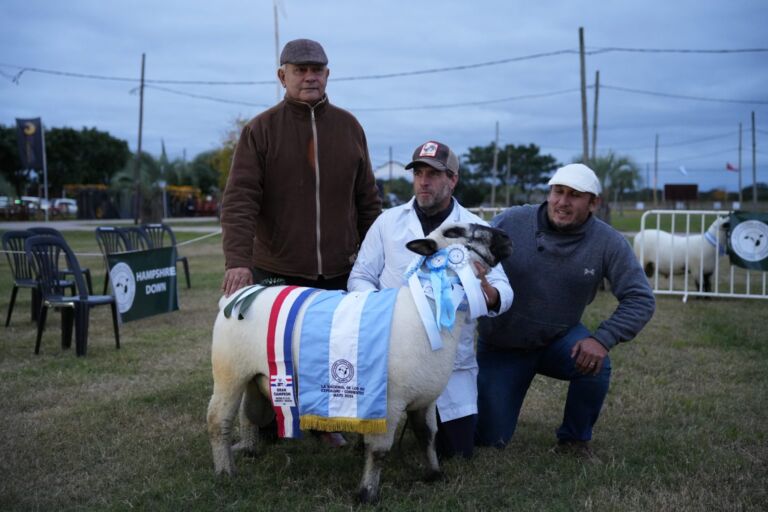 Hampshire Down celebró sus 80 años en las Nacionales de Corrientes