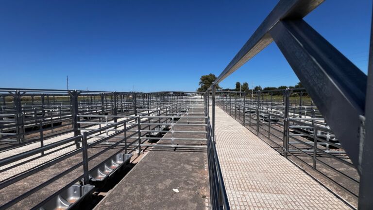 Cañuelas será escenario de la 45° Exposición Nacional Angus de Primavera