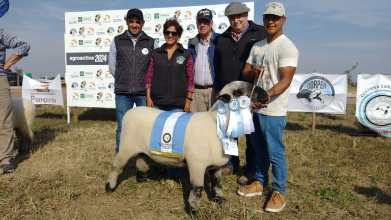Cabañas ovinas de Córdoba entre las premiadas por su genética en Agroactiva 2024