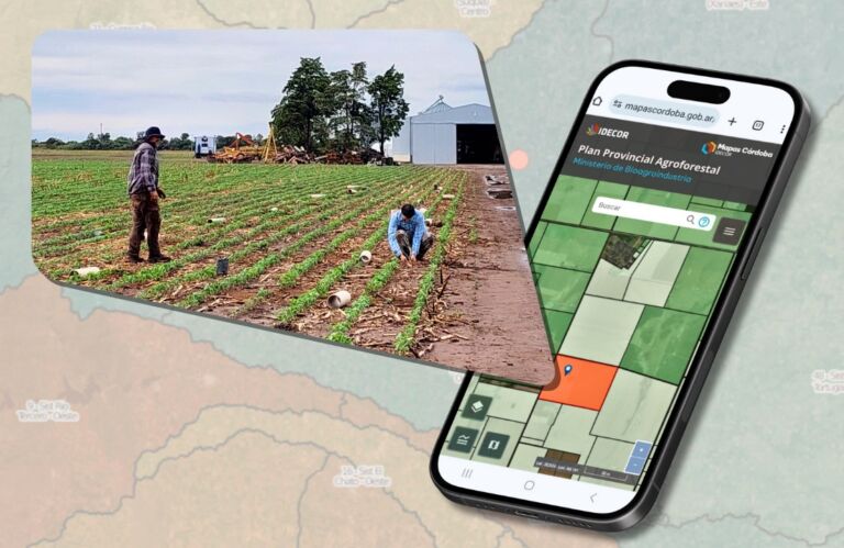 Red de ensayos forestales: nuevos datos en el mapa del Plan Provincial Agroforestal