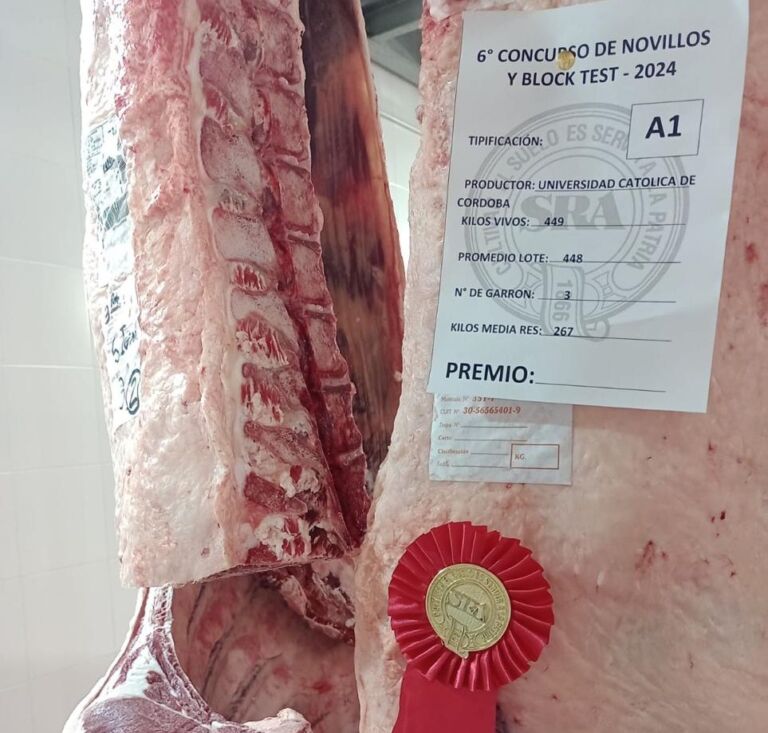 Consagrada en Palermo: La Raza San Ignacio obtuvo el segundo lugar en el blocktest de Novillos