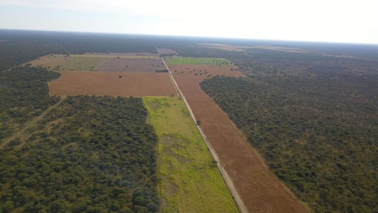 Los productores, protagonistas centrales de un campo limpio y sustentable