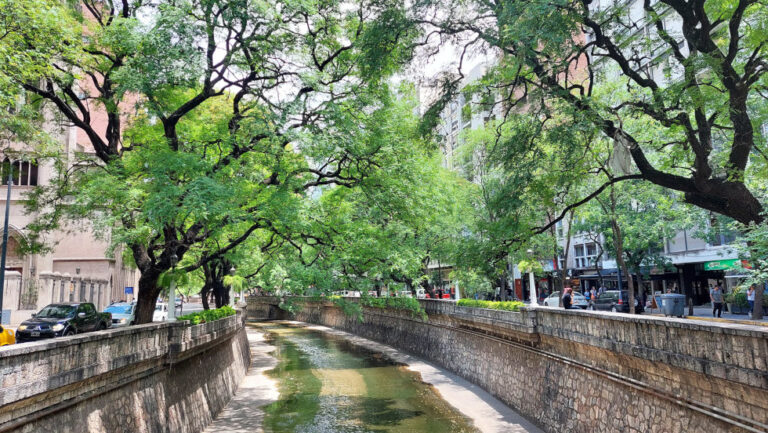 Este jueves inicia el VI Congreso Nacional de Arboricultura y Bosques Urbanos