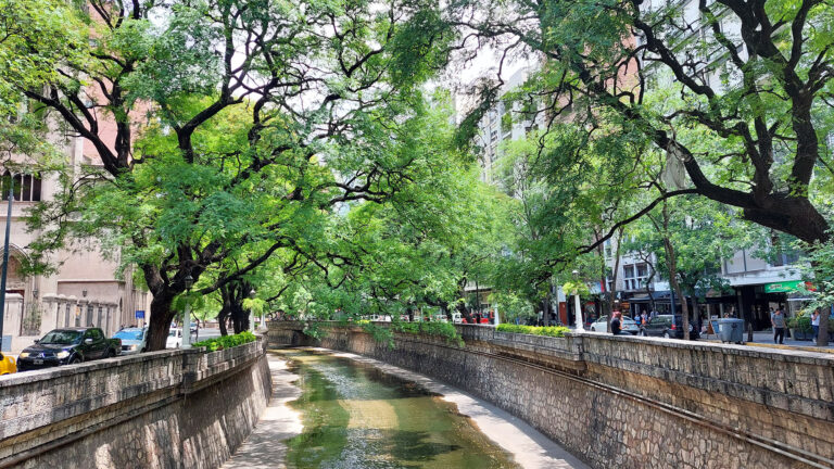 Llega a la FCA UNC el VI Congreso Nacional de Arboricultura y Bosques Urbanos