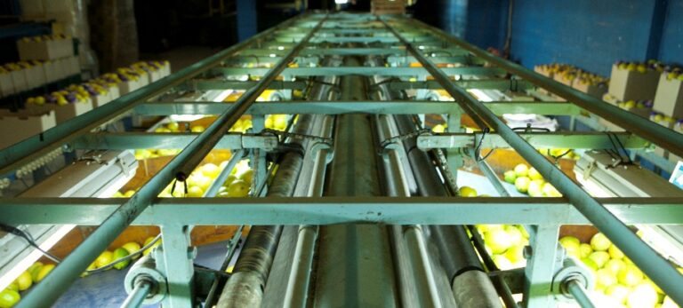 Avanzan con la trazabilidad citrícola, con el control del stock de frutas en los empaques