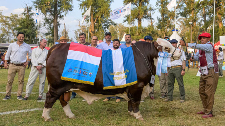 Con genética de Primera, ExpoBra consagró a sus grandes Campeones en Santiago del Estero