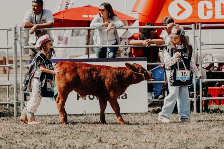 Niños y adolescentes debutaron como Jurado en la Semana Angus de Primavera