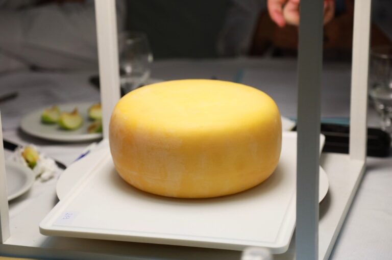 Región Centro: arrancó la inscripción para el 2° Concurso Nacional de Quesos, Manteca y Dulce de Leche 