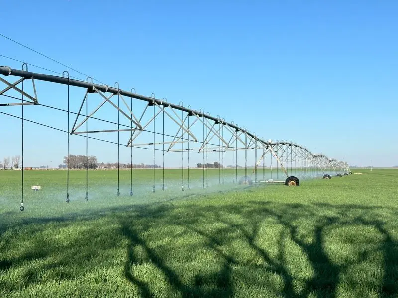 Riego tecnificado: la inversión que transforma el campo en una fábrica de producción garantizada