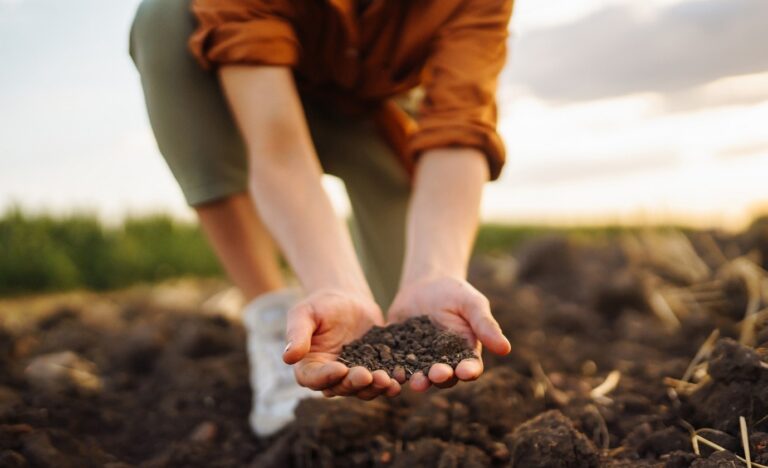 Bayer y fyoFoods avanzan para promover la producción sustentable de cultivos de especialidades