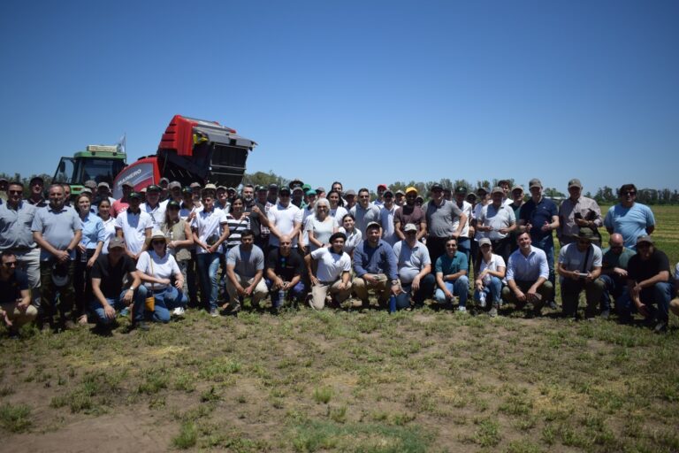 El Clúster de Alfalfa reunió a productores y empresas en su Jornada a Campo en Morrison