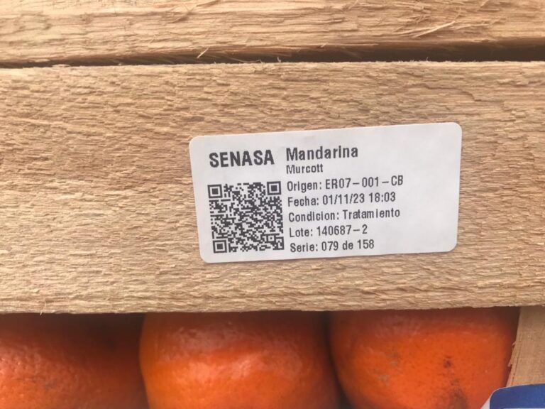 Senasa: deberán etiquetarse los envases que contengan frutas en los centros de tratamiento cuarentenario