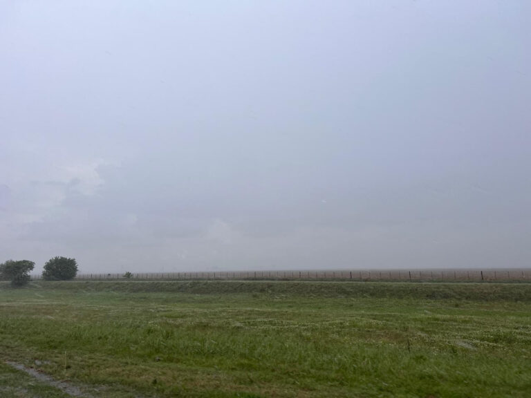 Lluvias en la Región Núcleo: los acumulados plantean un nuevo escenario para la campaña estival