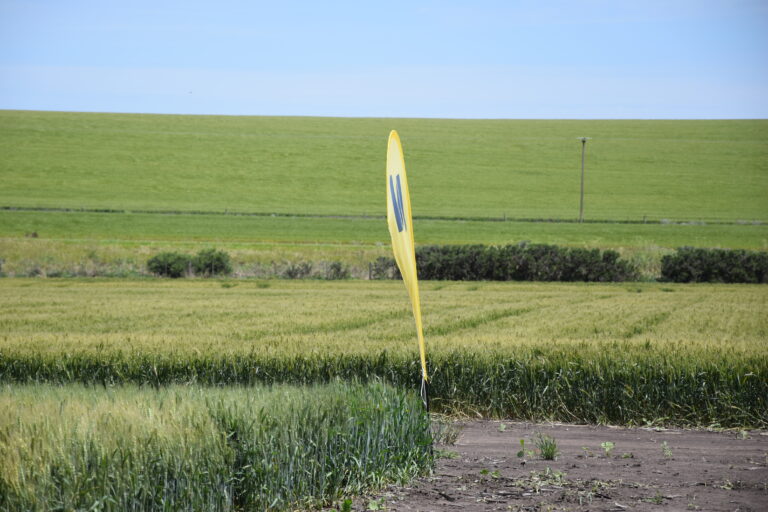 Nidera presenta una nueva edición de su clásico encuentro Campo Líder en Miramar