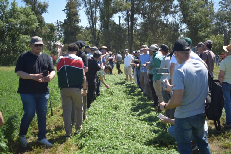 Las tecnologías presentadas por las empresas en Jornada a Campo del Cluster de Alfalfa