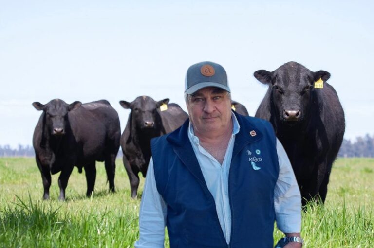 Fabián Otero: “La prueba pastoril  Angus suma 25 años a puro crecimiento y evolución»