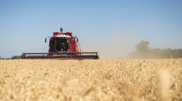 El Gobierno anuncia simplificación del Registro Único de la Cadena Agroalimentaria (RUCA)