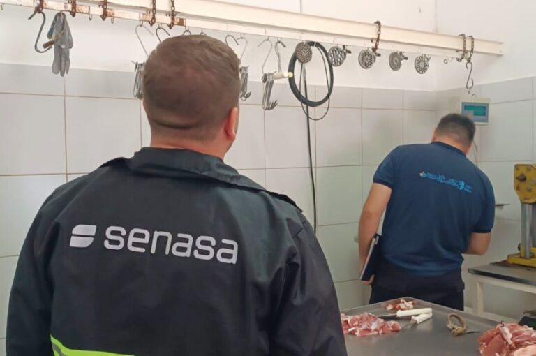 Controles en carnicerías de Costa Sacate por brote que triquinosis