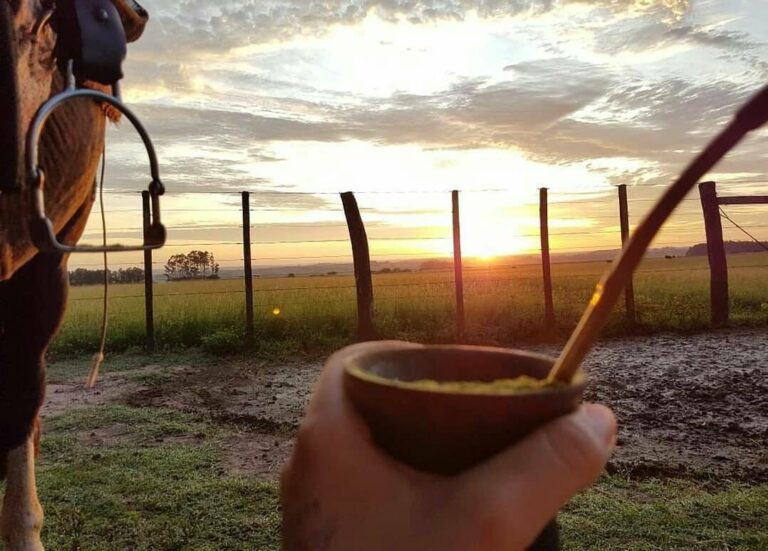 Disminuyo en el consumo interno de yerba mate a pesar del aumento en producción y exportación.