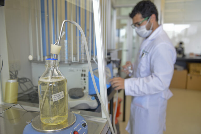 Agricultura aprobó en 2024 la mayor cantidad de productos biotecnológicos en casi 30 años
