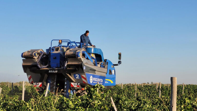 New Holland y el Grupo Fecovita impulsan la producción vitivinícola