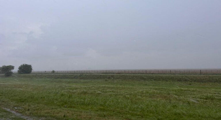 Las últimas lluvias marcaron un cambio en la región núcleo, dejando mejores expectativas para la fina