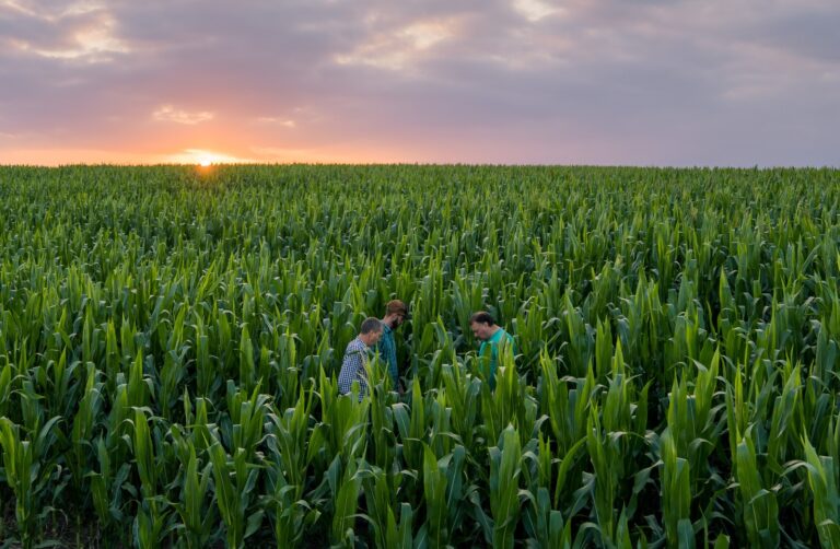 En Expoagro 2025, debut y recorrido por la escencia de Supra Semillas