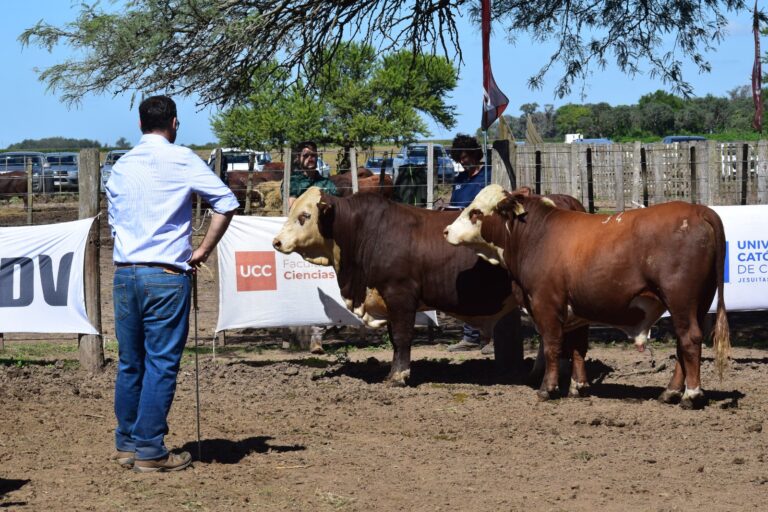 Prueba a Campo Braford: Este viernes 13 de junio, segundo capítulo en «La Toma»