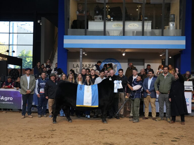 Expo Angus de Otoño en Palermo: a tribunas llenas consagraron a los grandes Campeones