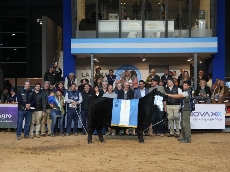Expo Angus de Otoño: La Gran Campeón Hembra Negra fue para La Alianza y la Colorada para La Rubeta