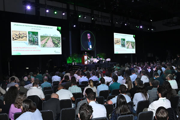 Simposio Fertilidad: la lupa puesta en el fósforo y lo que se pierde cada año por hectárea producida