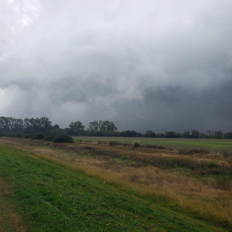 NE de Buenos Aires recibió lluvias con el mayor milimetraje, afectando el final de la cosecha