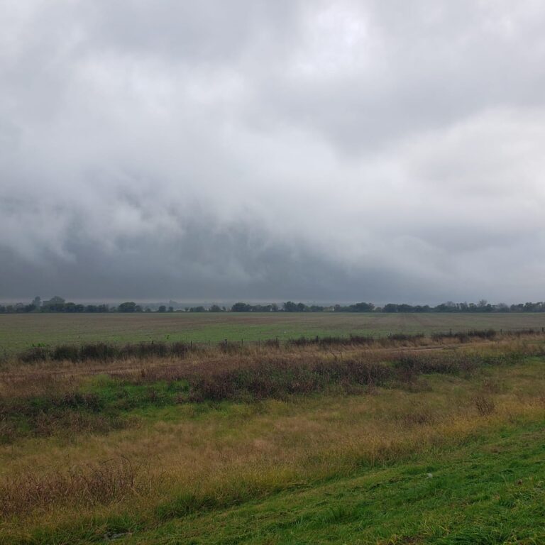 Panorama Agroclimático mixto: temperaturas en ascenso pero con lluvias escasas en el Cono Sur