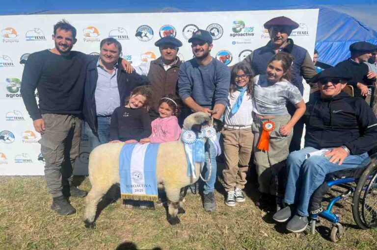 Tras brillar en Agroactiva, la raza Hampshire Down prepara su Primer Congreso Mundial