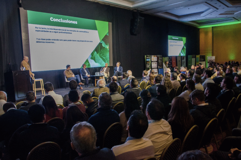 El futuro de las legumbres en Argentina: muchos desafíos y oportunidades en un mercado globalizado