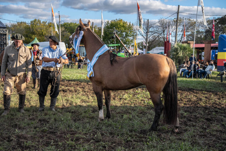 La Exposición Nacional de Caballos Criollos tuvo su gran fiesta en la Rural de Corrientes