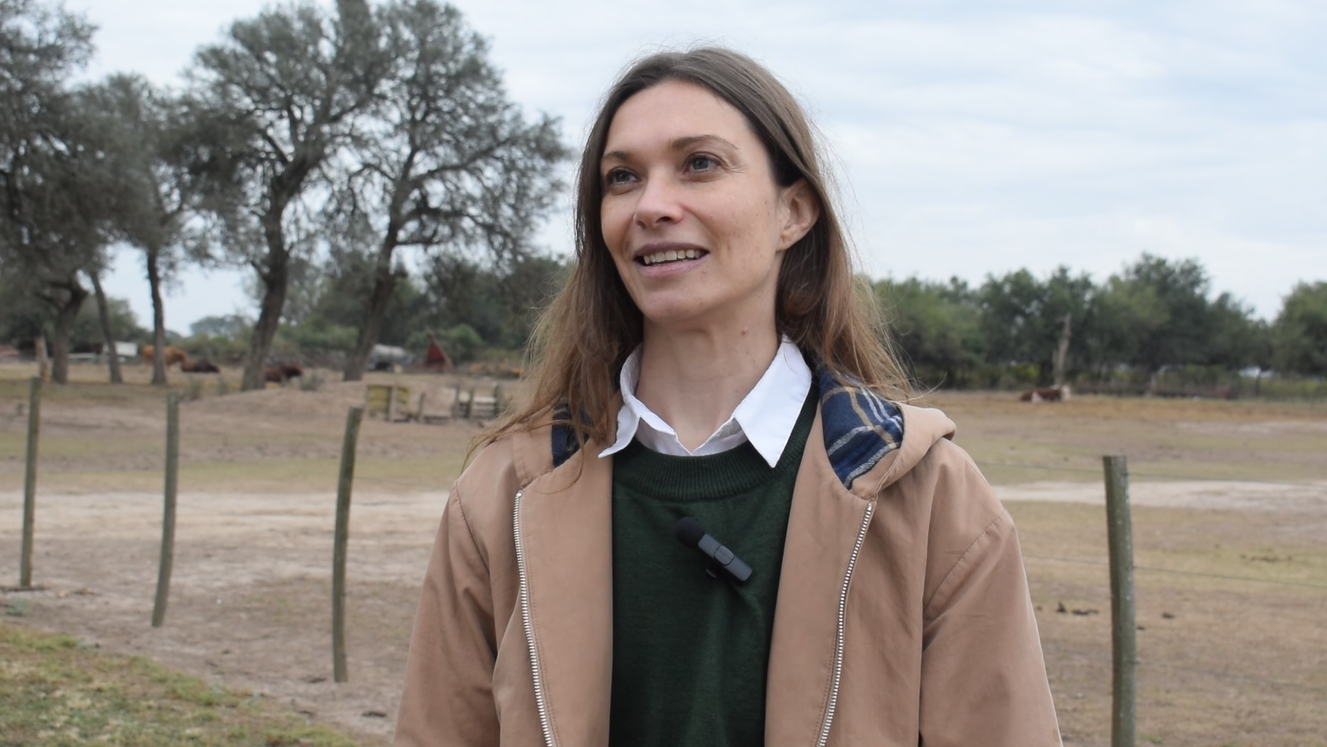 Braford: la calidad de carne argentina busca su lugar premium en el mundo