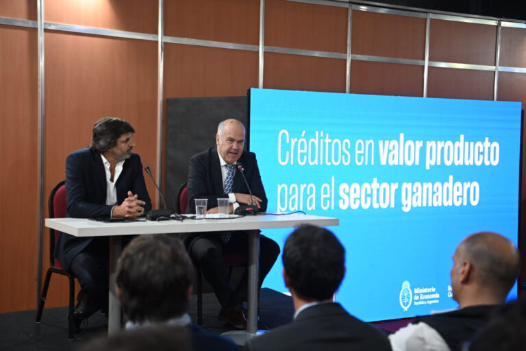 El Gobierno Nacional lanzó créditos en kilos de novillo para aumentar el stock ganadero
