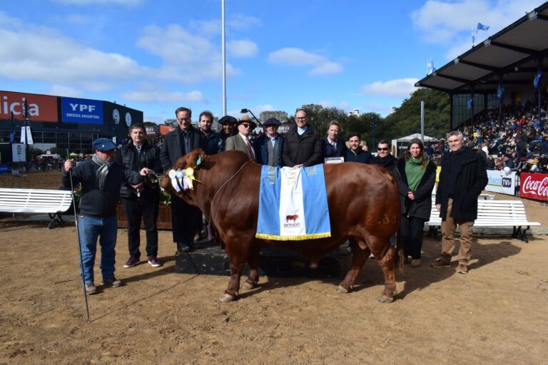 La Genética Bovina San Ignacio, de Campeona en Palermo a potencial de exportación con destino a Asia