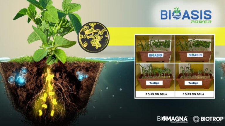 Biomagna y Biotrop unen fuerzas para la innovación biológica con el lanzamiento de «Bioasis»