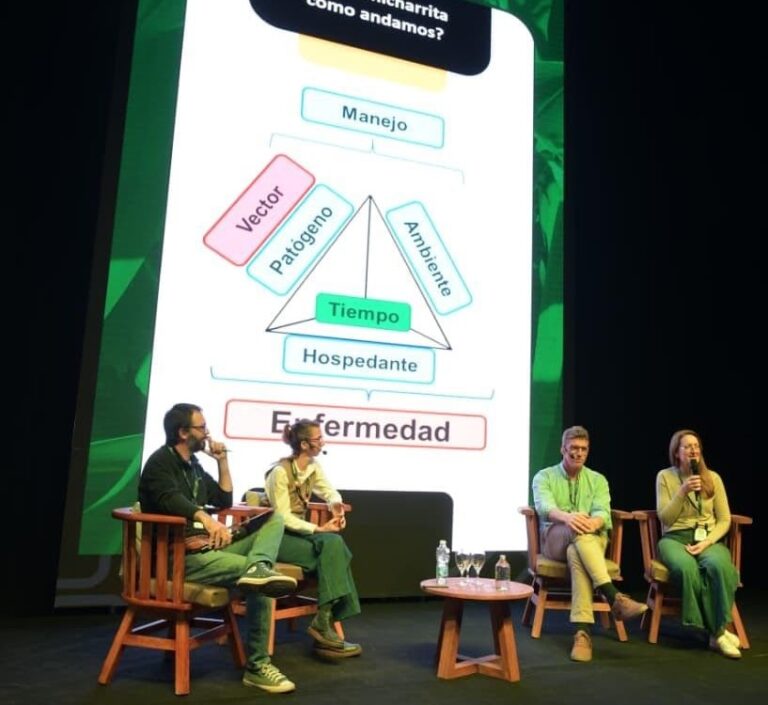 Congreso Internacional de Maíz: balance del estado de situación de la chicharrita en el país